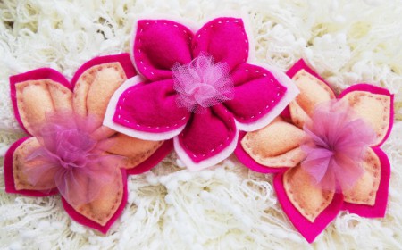 Composizione sul rosa